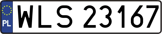 WLS23167