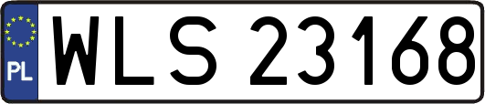 WLS23168