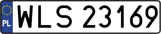WLS23169