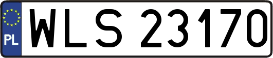 WLS23170