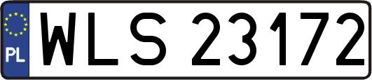 WLS23172