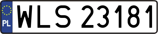 WLS23181