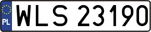 WLS23190