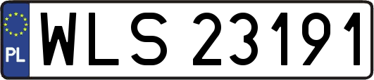 WLS23191