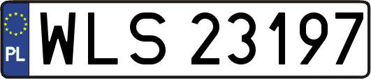 WLS23197