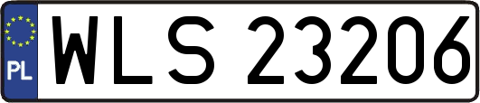 WLS23206