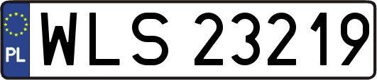 WLS23219