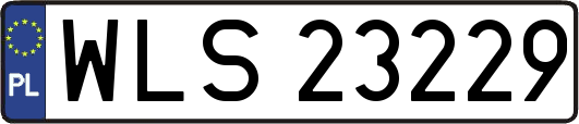 WLS23229