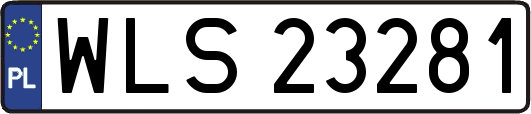 WLS23281