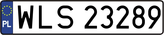 WLS23289