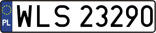 WLS23290