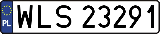 WLS23291