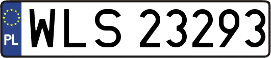 WLS23293