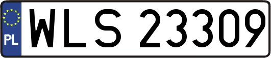 WLS23309