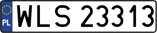 WLS23313