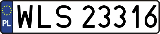 WLS23316