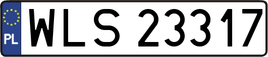 WLS23317
