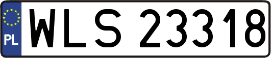 WLS23318