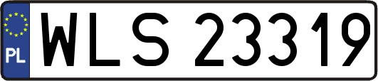 WLS23319