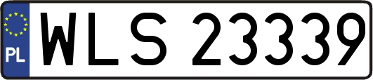 WLS23339