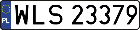 WLS23379