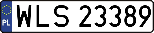 WLS23389