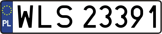 WLS23391