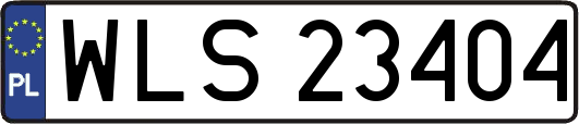 WLS23404