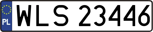 WLS23446