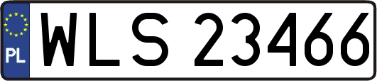 WLS23466