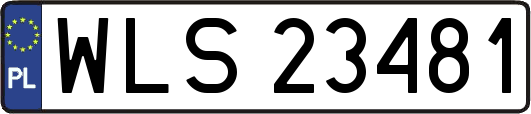 WLS23481
