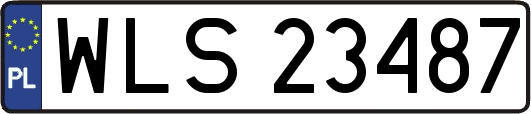 WLS23487