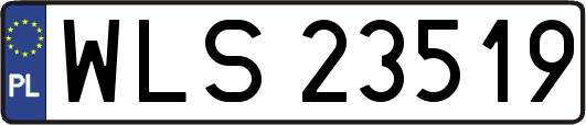 WLS23519