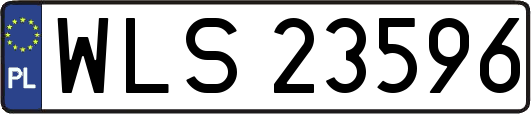 WLS23596