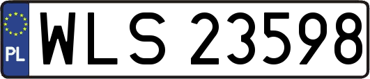 WLS23598