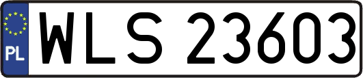 WLS23603