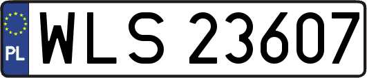 WLS23607