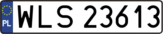 WLS23613