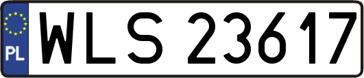 WLS23617