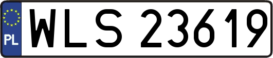 WLS23619