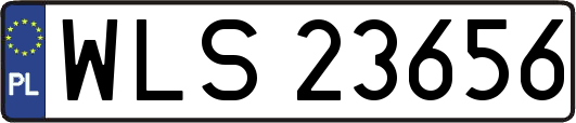 WLS23656