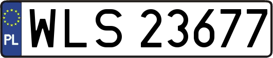 WLS23677