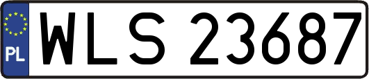 WLS23687