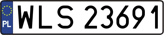 WLS23691