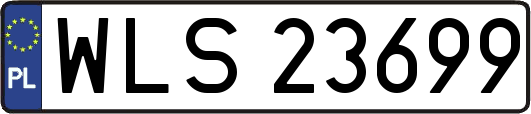 WLS23699