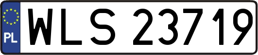 WLS23719