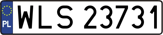 WLS23731