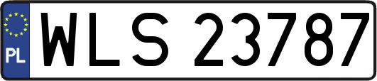 WLS23787