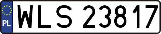 WLS23817