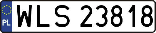 WLS23818